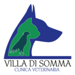 logo villa di somma